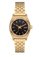 Small Time Teller - Gold / Black / Gold